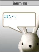 usagi.JPG
